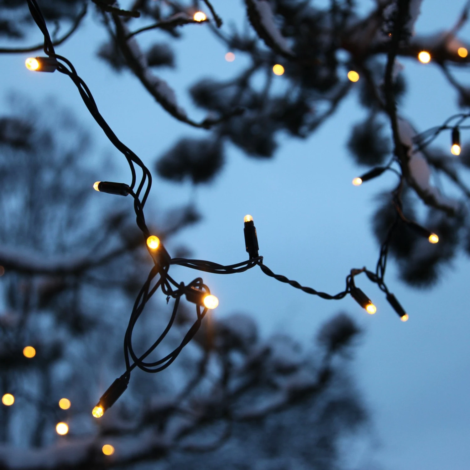 10m LED-Lichterkette Erweiterung System 24, 2.400K – Bild 2