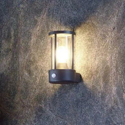 Sensor-Außenwandleuchte Adebar, E27, Dunkelgrau