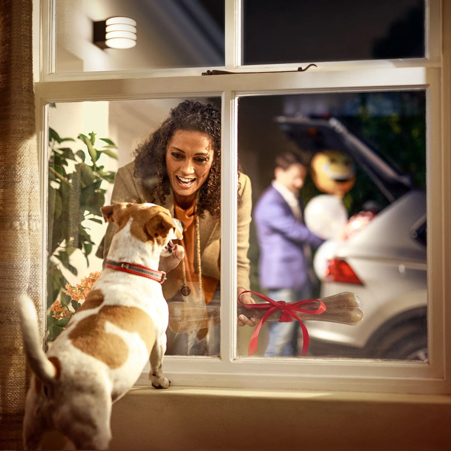 Philips Hue White Lucca Außenwandlampe Steuerbar – Bild 7