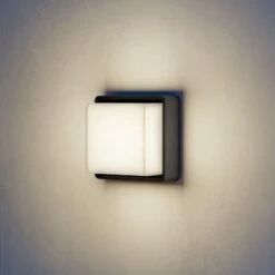 STEINEL L 845 SC LED-Außenwandleuchte Mit Sensor