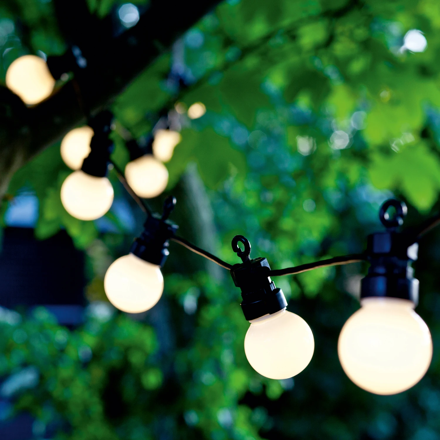 LED-Lichterkette Lucas Start-Set 10-flg. Gefrostet – Bild 2